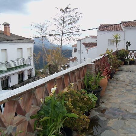 Apartamentos Rurales Jardines Del Visir خينالغواثيل المظهر الخارجي الصورة