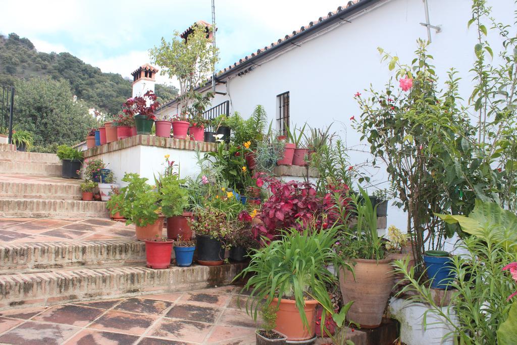 Apartamentos Rurales Jardines Del Visir خينالغواثيل المظهر الخارجي الصورة