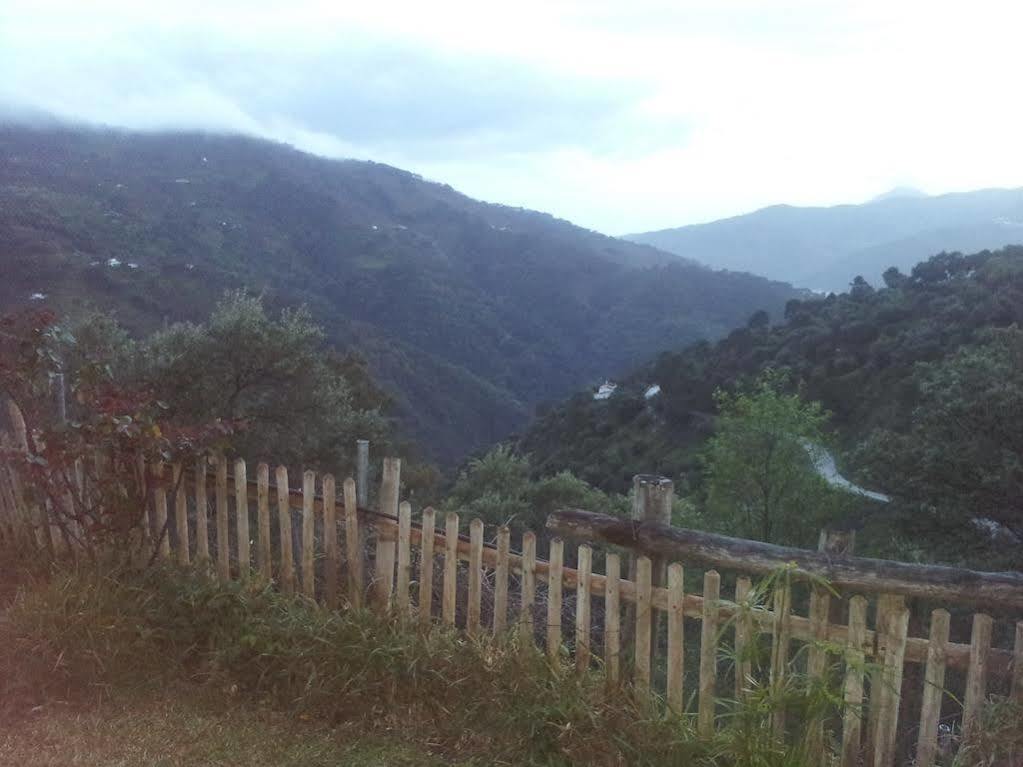 Apartamentos Rurales Jardines Del Visir خينالغواثيل المظهر الخارجي الصورة